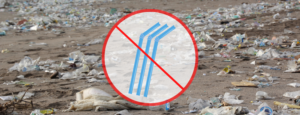 Interdiction des pailles plastiques france