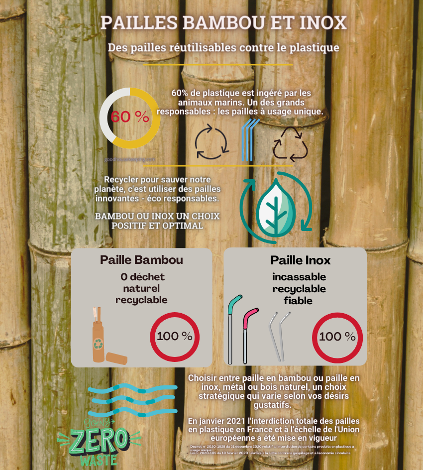 infographie paille inox et bambou