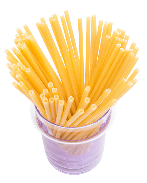 Ecological Pasta Straw