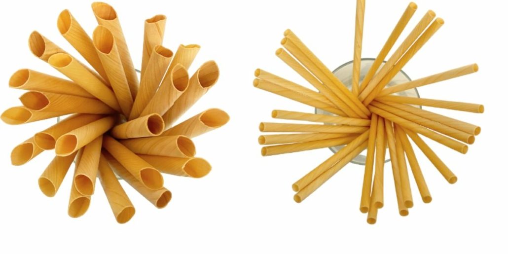 biodegradable and compostable forest straws